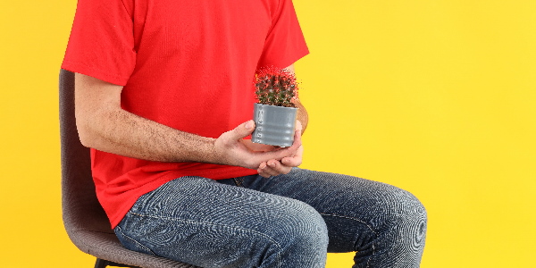 Hämorrhoiden Hämorrhoiden