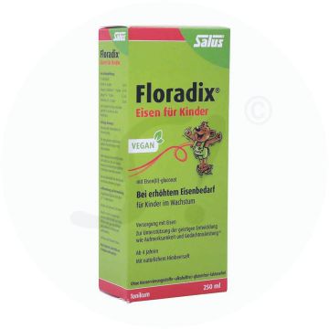 Gall Pharma Floradix Eisen Tonikum 250 ml