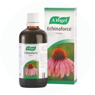 Echinaforce Tropfen 100 ml