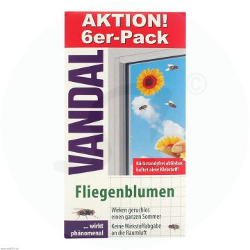Vandal Fenster Fliegenblume 6 Stk.