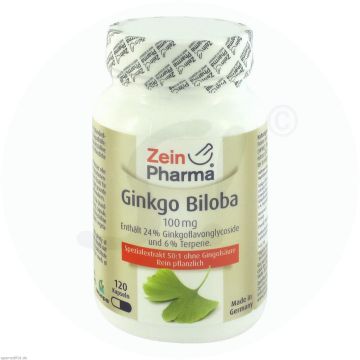 Ginkgo 100 mg Caps 120 Stk.