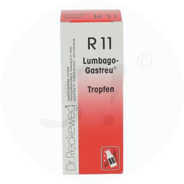 Lumbago Gastreu R11 Tropfen 50 ml