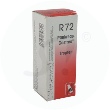Pankreas Gastreu R72 Tropfen 50 ml