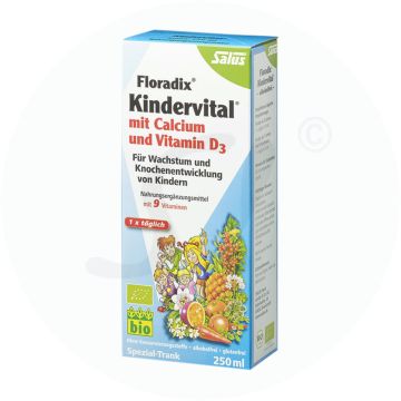 Salus® Floradix Kindervital 250 ml