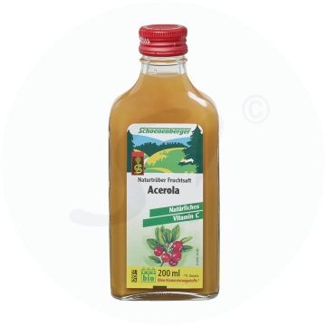 Schoenenberger Saft 200 ml BIO