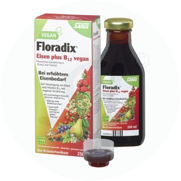 Floradix Eisen + B 12 Bio Tonikum 250 ml