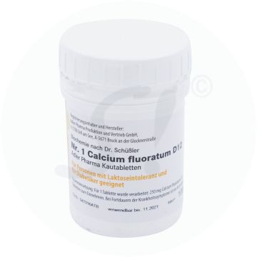 Schüßler Nr. 1 Calcium fluoratum D12 Kautabletten 100 g