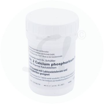 Schüßler Nr. 2 Calcium phosporicum D6 Kautabletten 100 g