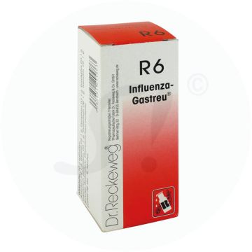 Influenza Gastreu R6 Tropfen 50 ml