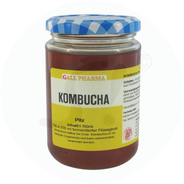 Gall Pharma Kombucha Teepilz