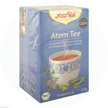 Yogi Tee Atem
