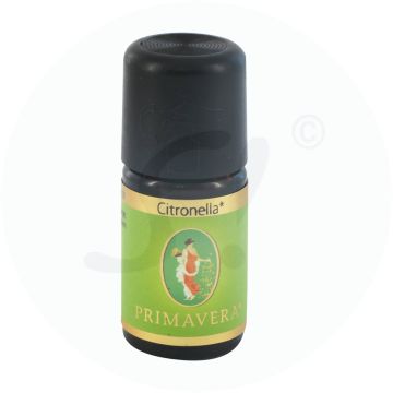 Primavera Ätherisches Öl Citronella 5 ml