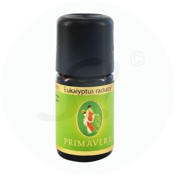 Primavera Ätherisches Öl Eukalyptus radiata 5 ml
