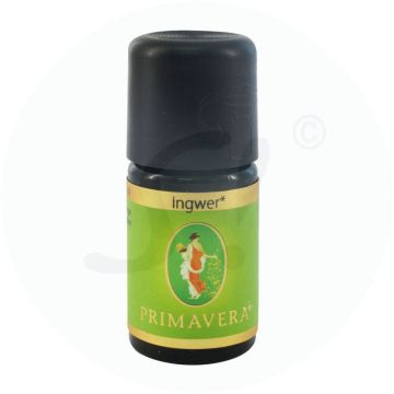 Primavera Ätherisches Öl Ingwer 5 ml