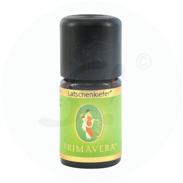 Primavera Ätherisches Öl Latschenkiefer 5 ml