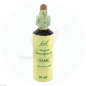 Gall Pharma Bachblüten 22 Oak 20 ml