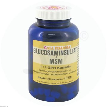Glucosaminsulfat + MSM 1:1 Kapseln
