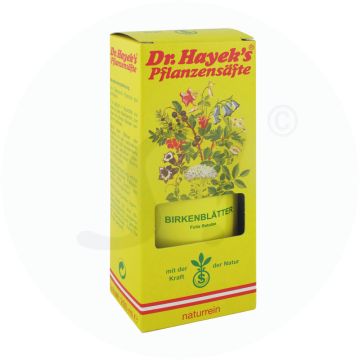 Hayek Birken Blütensaft 200 ml