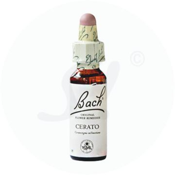Bachblüte Cerato 5 20 ml