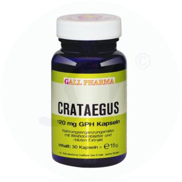 Gall Pharma Crataegus Kapseln 120mg 120 Stk.