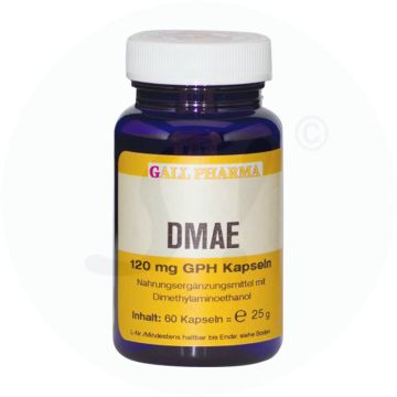 Gall Pharma Dmae Kapseln 120mg 90 Stk.