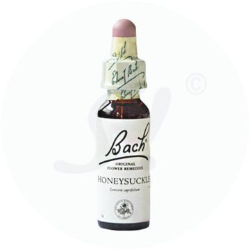 Gall Pharma Bachblüten 16 Honeysuckle 20 ml