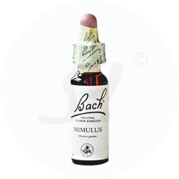 Gall Pharma Bachblüten 2 Mimulus 20 ml