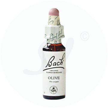 Gall Pharma Bachblüten 23 Olive 20 ml