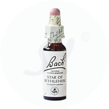 Gall Pharma Bachblüten 29 Star of Bethlehem 20 ml