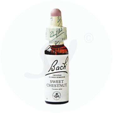Gall Pharma Bachblüten 30 Sweet Chestnut 20 ml