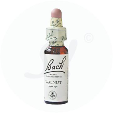 Gall Pharma Bachblüten 33 Walnut 20 ml