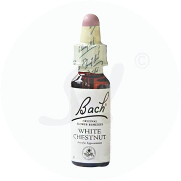 Gall Pharma Bachblüten 35 White Chestnut 20 ml