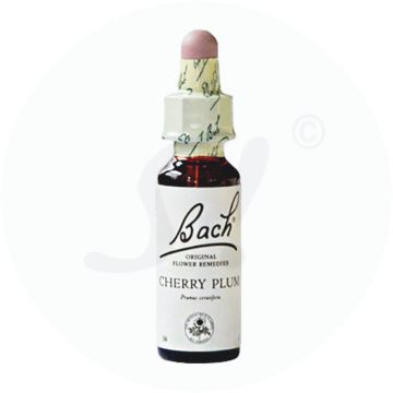 Gall Pharma Bachblüten 6 Cherry Plum 20 ml