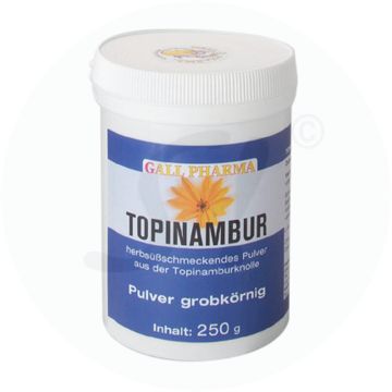Gall Pharma Topinambur 250 g Pulver