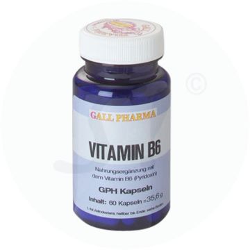 Gall Pharma Vitamin B 6 Kapseln 60 Stk.