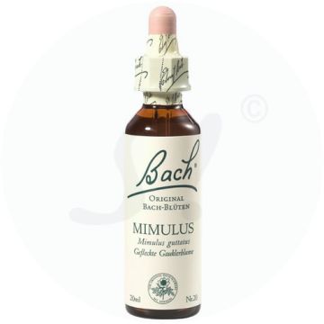 Bachblüte Mimulus 20 Klosterfrau 20 ml