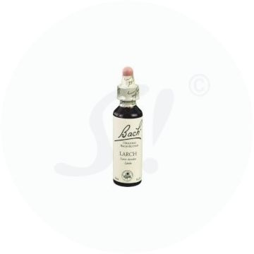 Gall Pharma Bachblüten 19 Larch 20 ml