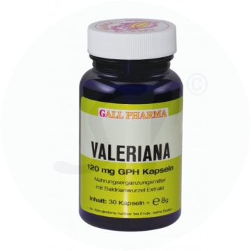 Gall Pharma Valeriana Kapseln 120mg 120 Stk.