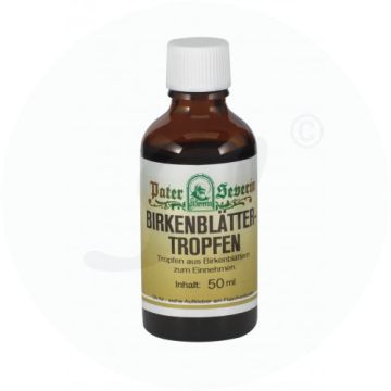 Gall Pharma Birkenblättertropfen 100 ml