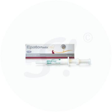 Epato Plus Paste Katze 15 ml 2 Stk.