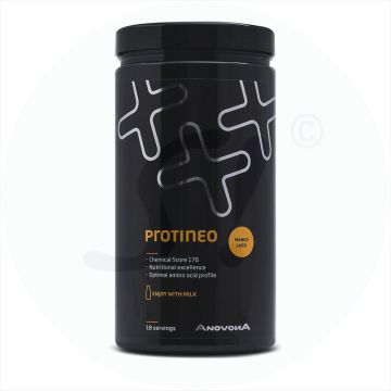 Protineo 450 g Mango Lassi Pulver