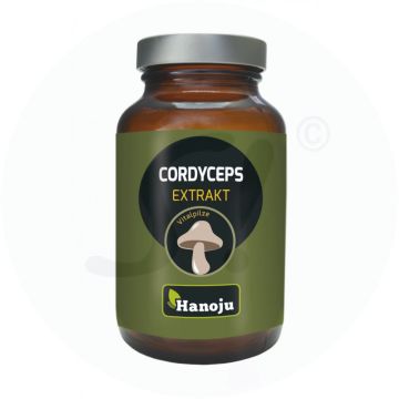 Cordyceps Extrakt Tabletten 40mg Han 90 Stk.