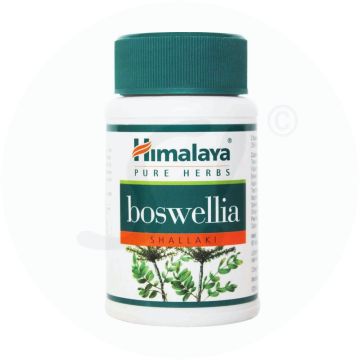 Boswellia Himalaya Kapseln