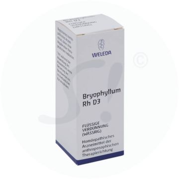 Weleda Bryophyllum D 3 RH Dilutum 20 ml