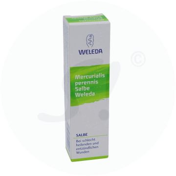 Weleda Mercurialis perennis 10 % Salbe 25 g