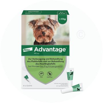 Advantage für Hunde Pipetten 4 Stk.