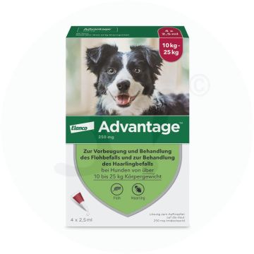Advantage 250 mg für Hunde 4 Stk.