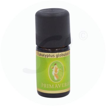 Primavera Ätherisches Öl Eukalyptus globulus 5 ml