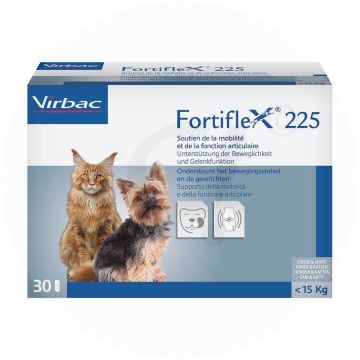 Fortiflex Tabletten 30 Stk. 225 mg
