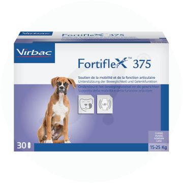 Fortiflex Tabletten 30 Stk. 375 mg